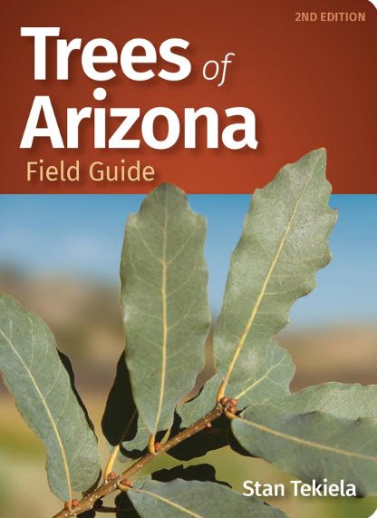 Trees of Arizona Field Guide (Tree Identification Guides) | USAvora